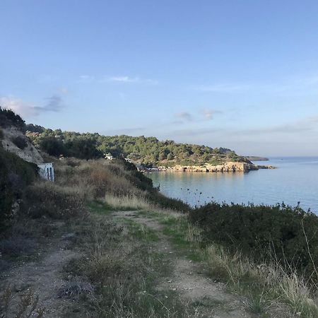 伊兹密尔Tiny House Framed By Nature Near Sea In Karaburun别墅 外观 照片