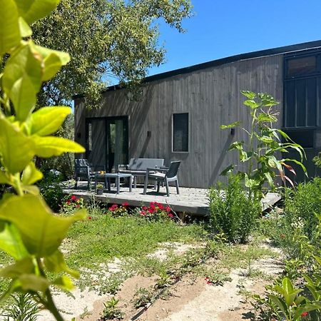 伊兹密尔Tiny House Framed By Nature Near Sea In Karaburun别墅 外观 照片